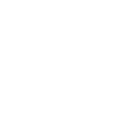 投放金额