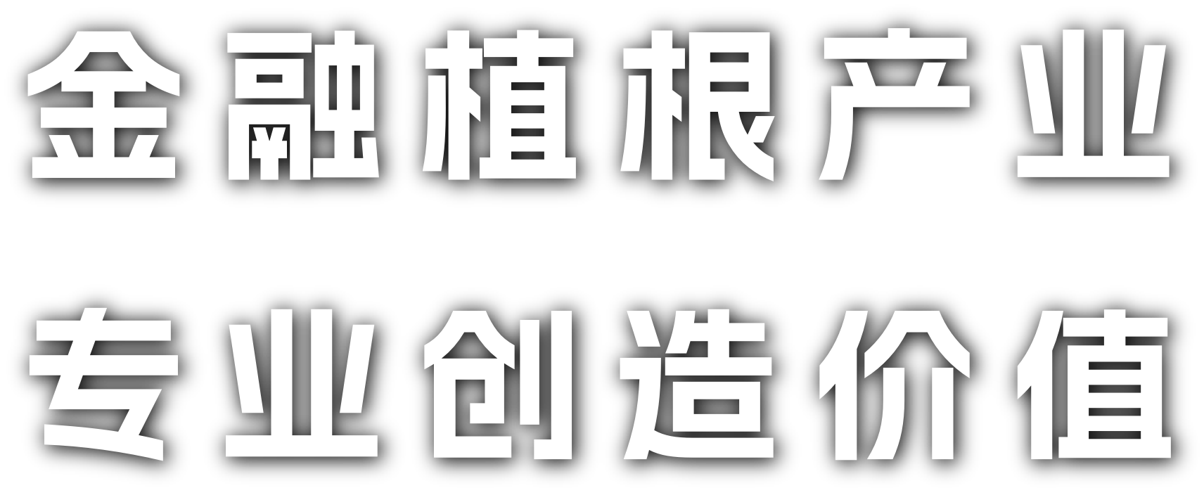 金融植根产业 专业创造价值